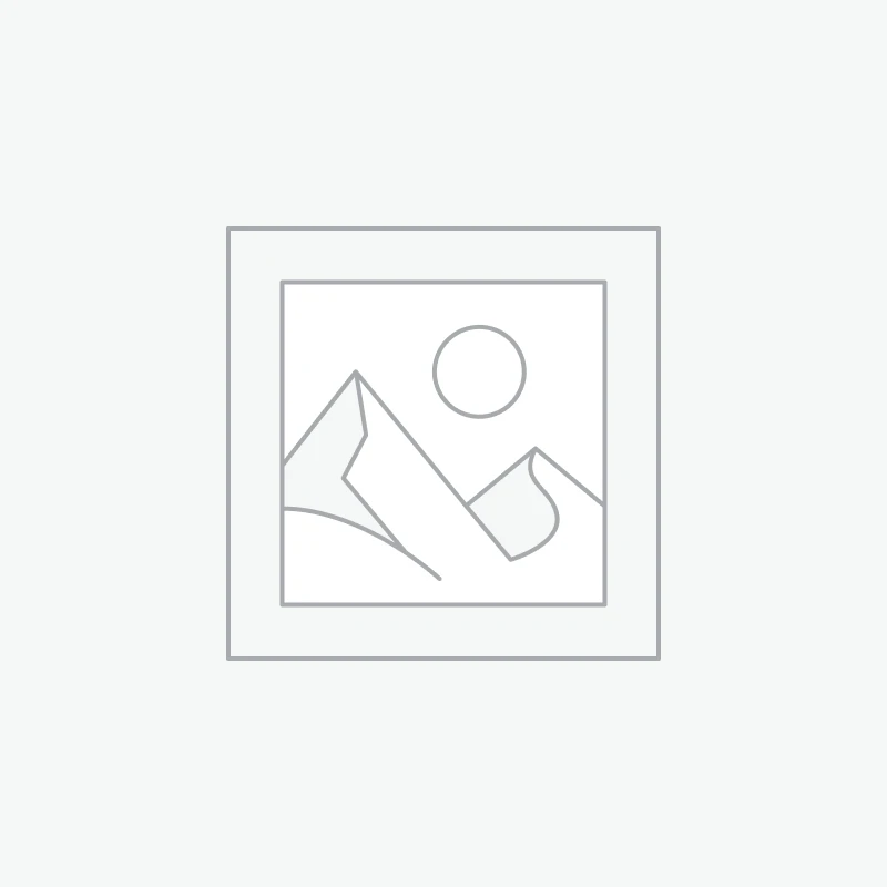 Trailing Arms Spring